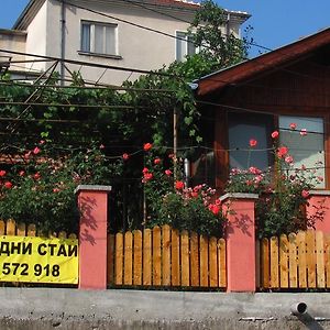 Guesthouse Elena Belogradcsik Exterior photo