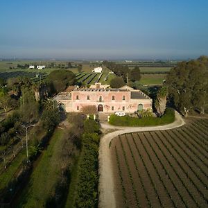 Masseria Mazzetta Salento Corte Del Falconiere B&B Salice Salentino Exterior photo