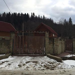 Guest House In Carpathians Mihovo Exterior photo