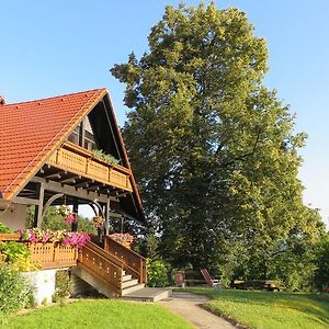 Country House Apat Vendégház Sostanj Exterior photo