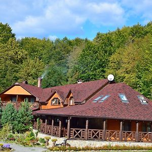 Zelena Sadyba Hotel Kisturjaszög Exterior photo