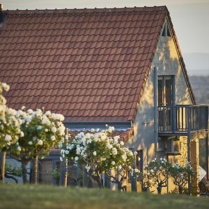 Wandin Valley Estate Lovedale Exterior photo