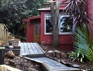 The Coromandel Treehouse Hotel Exterior photo