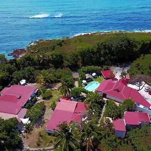 La Rose Du Bresil Marie-Galante Hotel Capesterre Exterior photo