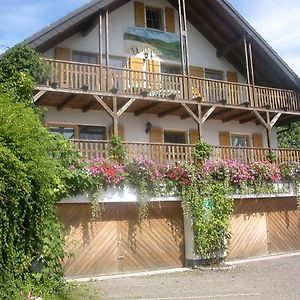 Gastehaus Fichtelgebirgsblick Apartman Stammbach Exterior photo