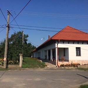 Bajusz Vendégház Hotel Tornyosnémeti Exterior photo