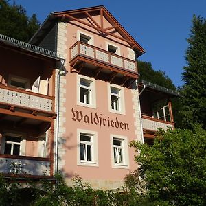 Bio-Hotel Villa Waldfrieden Bad Schandau Exterior photo