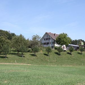 Bnb Im Waldhof Panzió Schneisingen Exterior photo