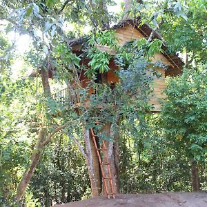 Tree House-Midigama Villa Weligama Exterior photo