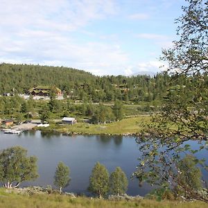 Lemonsjo Fjellstue Og Hyttegrend Hotel Randsverk Exterior photo