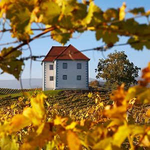 Wine Grower'S Mansion Zlati Gric Apartman Slovenske Konjice Exterior photo