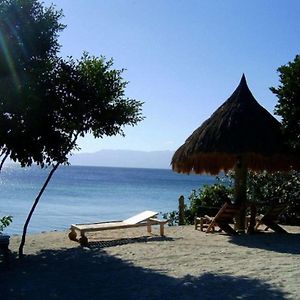 Sea Turtle House Moalboal Hotel Exterior photo