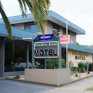 Golden Leaf Motel Myrtleford Exterior photo