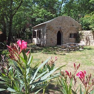 Le Donjon Des Combes Et Son Spa Panzió Fayence Exterior photo