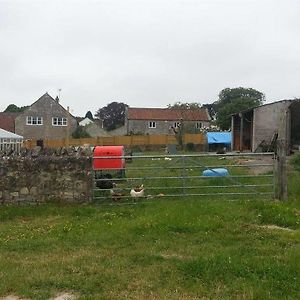 Polden Vale B&B Ashcott Exterior photo