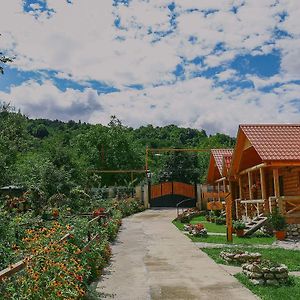 Ციბენა • Tsibena Hotel Ambrolauri Exterior photo