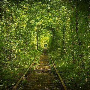 Hotel Tunnel Of Love Klevany Exterior photo