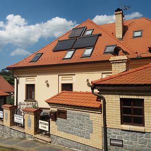 Penzion Ve Stare Skole Vlastejovice Exterior photo