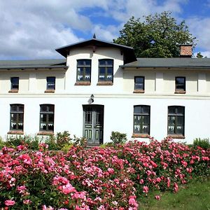 Ferienwohnungen Im Bauernhaus _ Ob Papendorf  Exterior photo