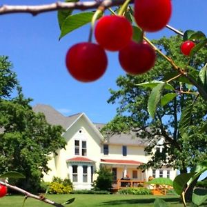 Country Hermitage Bed & Breakfast Panzió Acme Exterior photo