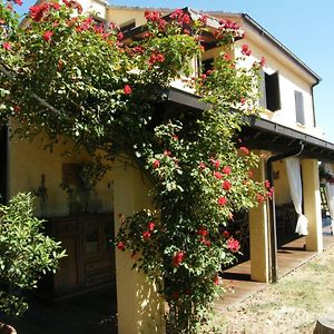 Casolare Casa Ricci Panzió Riotorto Exterior photo