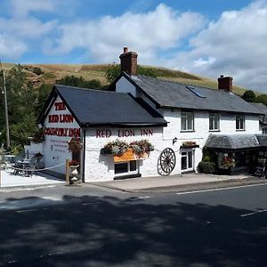 Llew Coch B&B Llanfihangel-nant-Melan Exterior photo