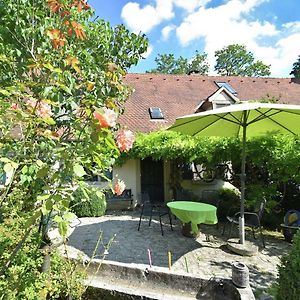 Cosy Holiday Home With Gazebo Weißenburg in Bayern Exterior photo