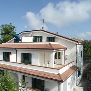 Colibri Hotel Maierà Exterior photo