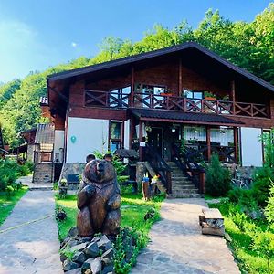 Chalet Vedmezhe Hotel Polyána Exterior photo