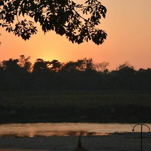 Holy Lodge Sauraha Exterior photo