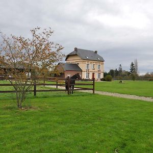 B&B Haras De La Cour Fleury Saint-Michel-de-Livet Exterior photo