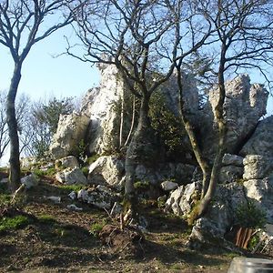 Le Rocher Du Samoyede Dirinon Exterior photo