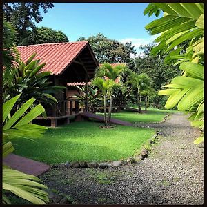 La Fortuna Waterfall Bungalows Exterior photo