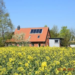 Ferienwohnung Mit Tiny House Freienwill Exterior photo