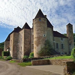 Chateau De Balleure Etrigny Exterior photo