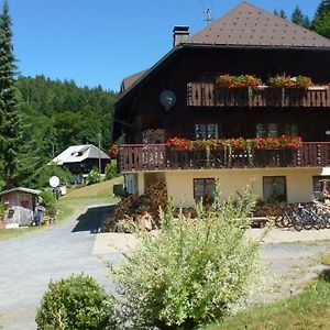 Haus Biehler Apartman Todtmoos Exterior photo