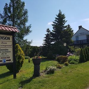 Pension Zum Wiesengrund Frauenhagen Exterior photo