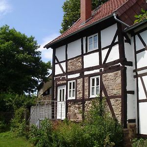 Ferienhaus Am Solling Villa Dassel Exterior photo