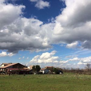 Circolo Ippico Parco Dello Stirone Panzió Salsomaggiore Terme Exterior photo