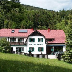 Landhaus Gschaiderhof Apartman Puchberg am Schneeberg Exterior photo