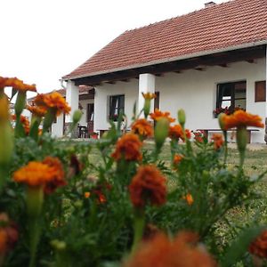 ONCSA Vendégház Hotel Gyöngyös Exterior photo