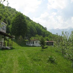 Bungalows Zdravets Berkovica Exterior photo