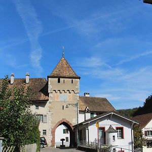 Wandern Und Wohnen Bei Gabriela Apartman Waldenburg Exterior photo