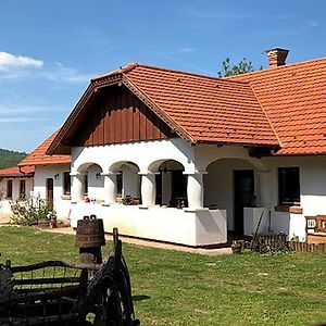 Greenhouse Szolad Exterior photo