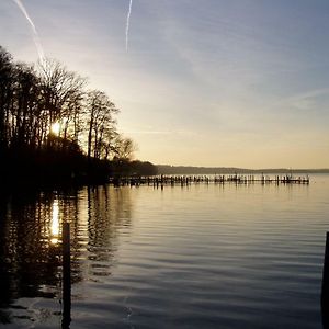 Ferienwohnungen Am Werbellinsee Schorfheide Exterior photo