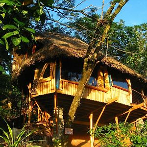 Vanira Lodge Teahupoo Exterior photo