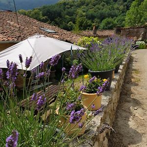 Gite De Charme Villa Ganac Exterior photo