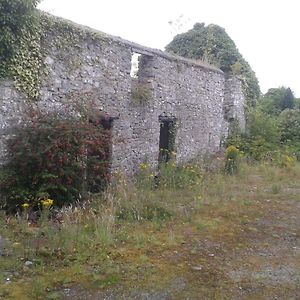 The Townhouse Apartman Claremorris Exterior photo