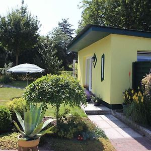 Ferienhaus Smerzinski Bergen Auf Rugen Exterior photo