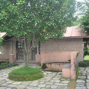 Hotel Elephant Camp Sauraha Exterior photo